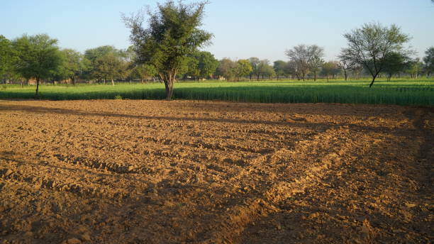 istock Desolate desert field closeup without Seeding. Peasants busy on protest. Farmer protest on agriculture economy concept. 1304692692