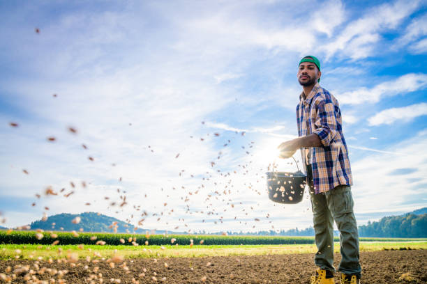 istock Male farmer sowing seeds in field 1304695282