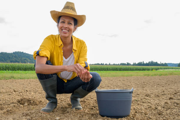 istock Female farmer sowing seeds in field 1304695303