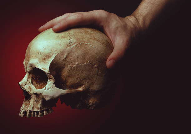 istock hand holding a skull on red background 1304695476