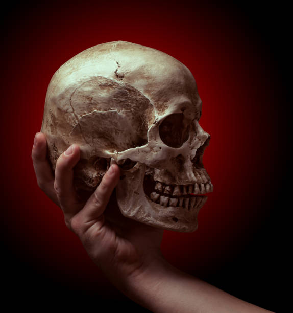 istock hand holding a skull on red background 1304695478