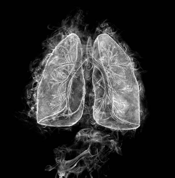 istock Human lungs and bronchi made of smoke on a black background. 1304695491