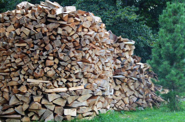 istock Heaps Of Dry Logs For Wood Fired Oven 1304695902