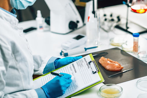 Food Safety and Quality Management. Food safety and quality inspector filling out quality control form in a laboratory, Poultry Sample in background