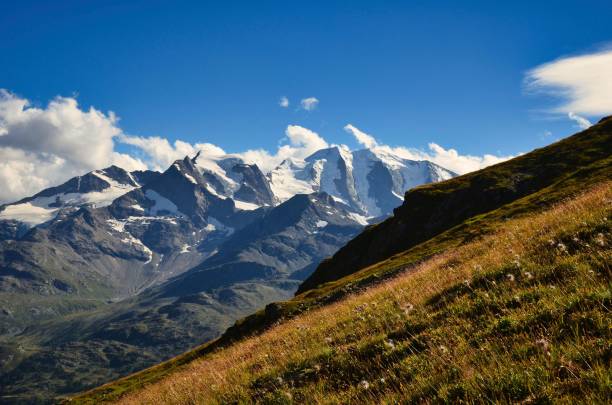 belo prado alpino com vista para as grandes montanhas na engadina. diavolezza acima do bernina pass, piz palu - engadine switzerland palu piz - fotografias e filmes do acervo