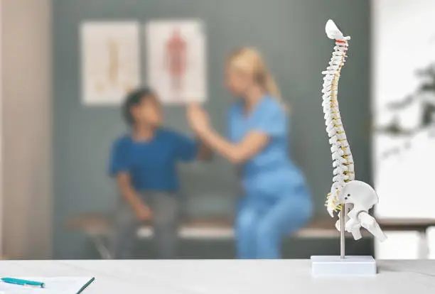 Photo of Anatomical model of spine on therapist's table in doctor's office. Boy patient and physiotherapist during a consultation on background, soft focus
