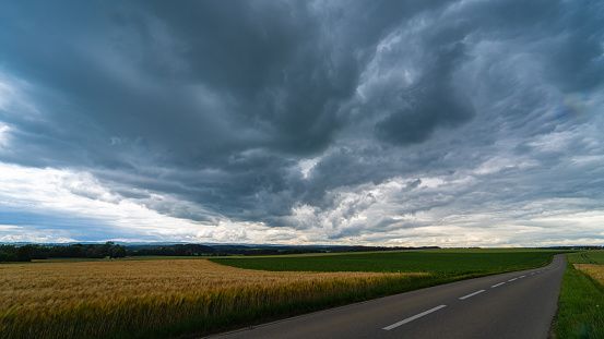 A wet curving road leads toward a lone tree on a distant hill.