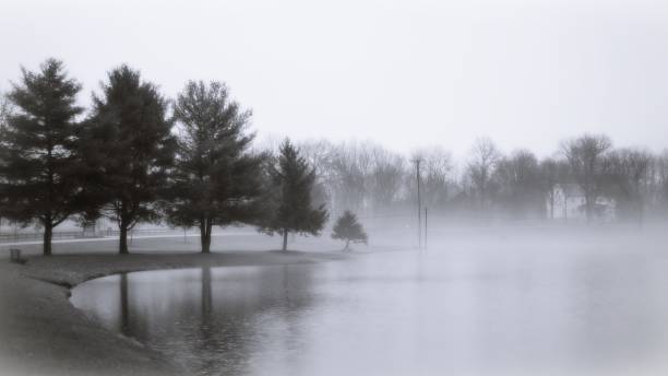 istock Misty and rainy landscape over a park lake 1304702292