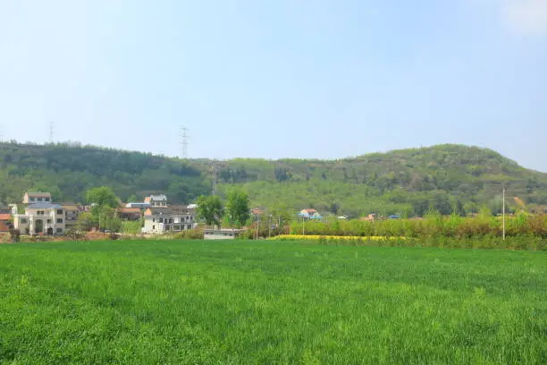 Beautiful rural landscape and green fields