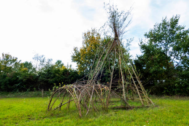 istock Childrens hut made of vivid willow trees 1304705360