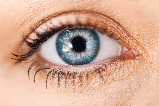 Human blue iris eye. Colorful Pupil in macro on black background