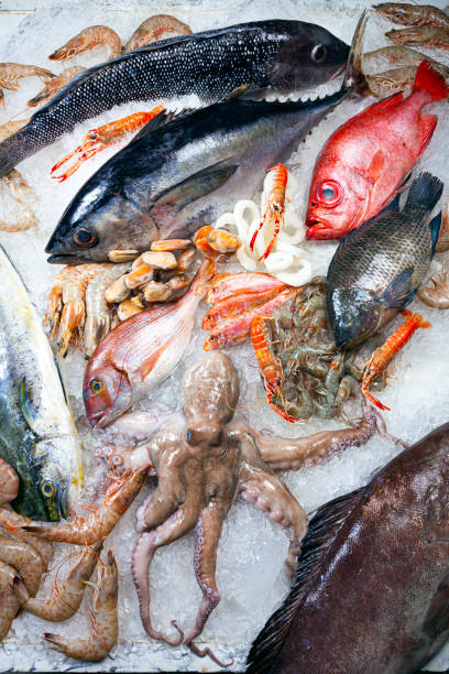 istock Seafood on ice at the fish market 1304711013