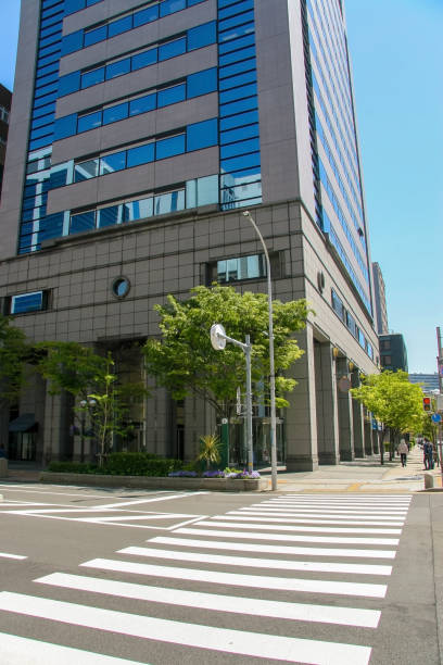 istock Intersection and pedestrian crossing in Japanese city 1304711199