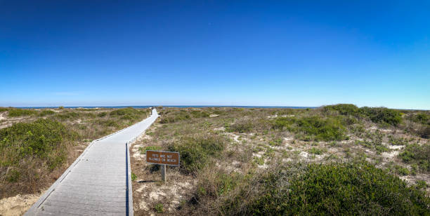 istock Pets are not allowed on Beach sign 1304720264