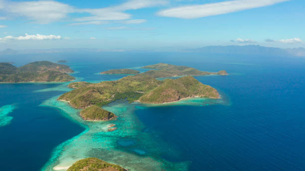 istock tropical island with sandy beach, Philippines, Palawan 1304721670