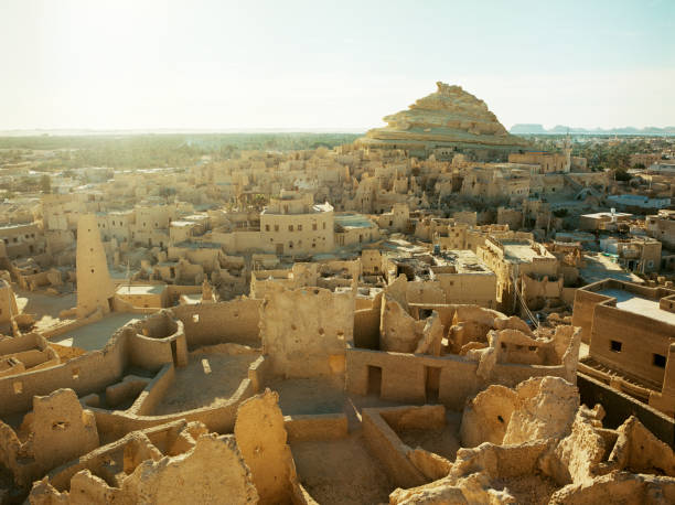istock Scenic view of Siwa oasis at sunset 1304723082