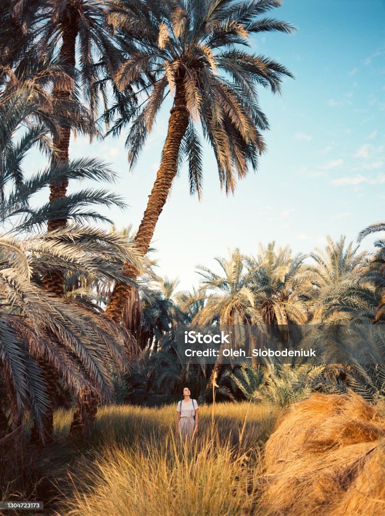 Woman standing under the palm tree  in Siwa oasis Egypt Stock Photo