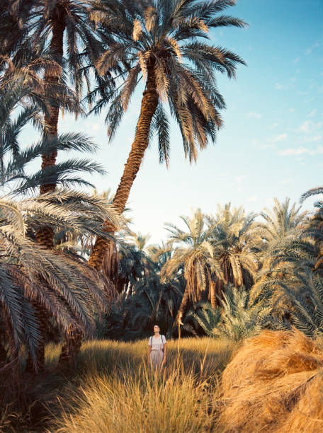 Woman standing under the palm tree in Siwa oasis Woman standing under the palm tree in Siwa oasis desert oasis photos stock pictures, royalty-free photos & images