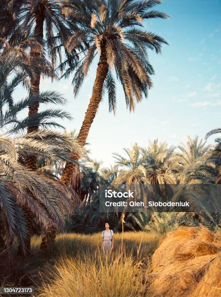 Woman Standing Under The Palm Tree In Siwa Oasis Stock Photo - Download Image Now - Egypt, Palm Tree, Travel