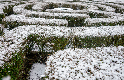 Scenic view of maintained landscaped garden in Mateus Palace with green natural openwork of trimmed bushes of boxwood and labyrinth of paths in spring, Vila Real, Portugal