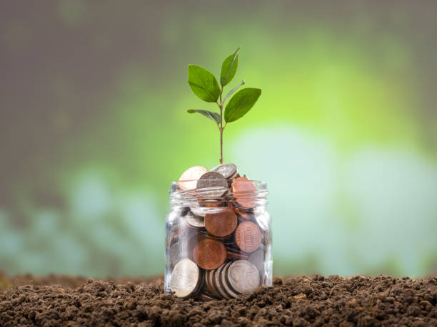 istock Plant growing from coins in the glass 1304725843