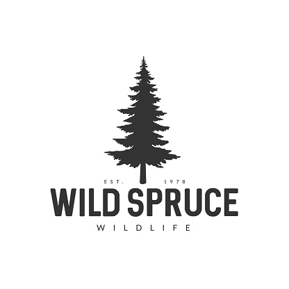 Monochrome illustration with a wild spruce logo on a white background.