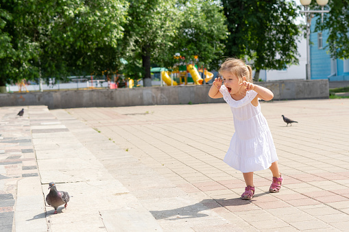 Little girl chasing pigeons in summer park
