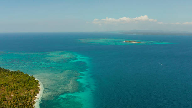 istock Tropical islands with sandy beaches. Balabac, Palawan, Philippines 1304728631