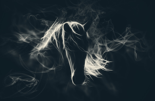 Stylized horse illustration on dark background