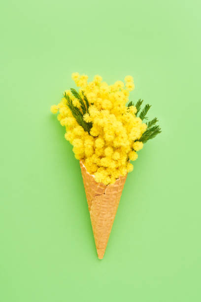 istock Waffle ice cream cone with mimosa flowers on a green background. Spring concept. Copy space, top view 1304730647