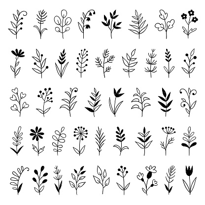 Set of hand drawn plants. Doodle design elements.