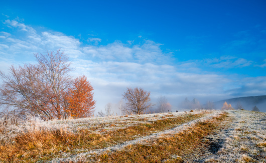 Frozen road covered with white frost against the backdrop of a beautiful blue sky and fluffy white fog