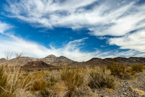 A dry wash and vegetation near Travertine Point under a blue sky and soaring clouds in Death Valley National Park, California