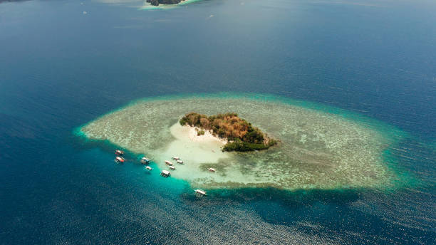 istock Small torpical island with white sandy beach, top view 1304735243