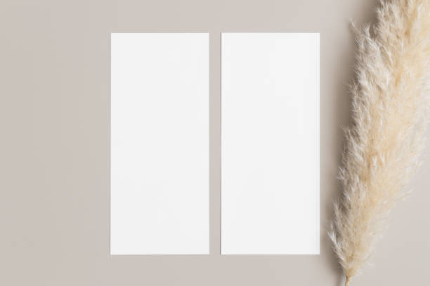 istock Two menu cards mockup with a pampas grass deocoration, 4x9 ratio. 1304735966