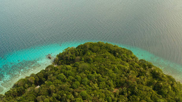 istock Landscape with coconut trees and turquoise lagoon 1304736119