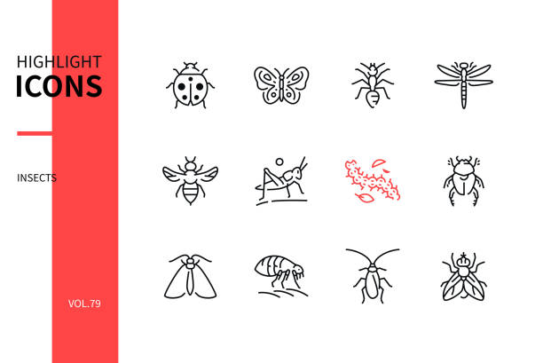 昆虫コレクション - モダンなラインデザインスタイルのアイコンセット - アリ点のイラスト素材／クリップアート素材／マンガ素材／アイコン素材
