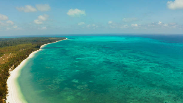 istock Tropical island with sandy beach. Balabac, Palawan, Philippines 1304737565