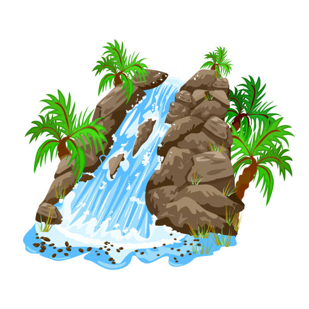 ilustrações de stock, clip art, desenhos animados e ícones de waterfall in jungle isolated on white background. waterfall and palm trees. - waterfall cartoon tropical rainforest vector