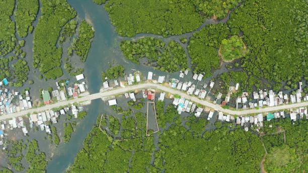 Aerial view of town is in mangroves. Siargao,Philippines stock photo