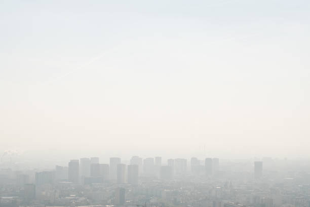Vue de la Tour Eiffel à partir de Meudon