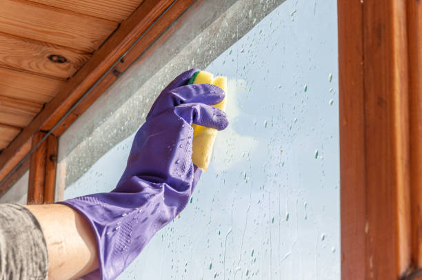 istock A woman's hand in a blue glove washes the window 1304745923