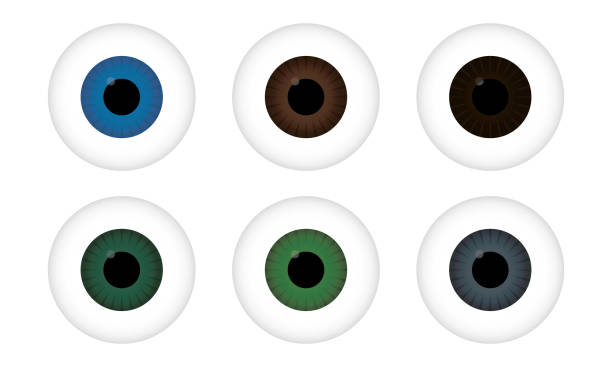6,249 Big Cartoon Eyes Stock Photos, Pictures & Royalty-Free Images - iStock