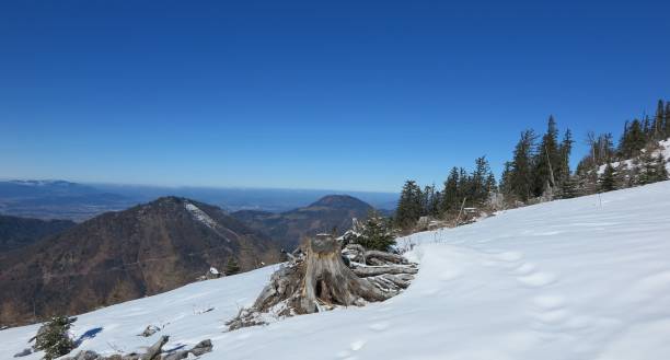 On the top of Ochsenberg view to Gaisberg On the top of Ochsenberg view to Gaisberg gaisberg stock pictures, royalty-free photos & images