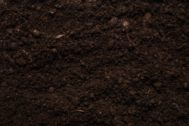 istock Black land for plant background. 1304752939