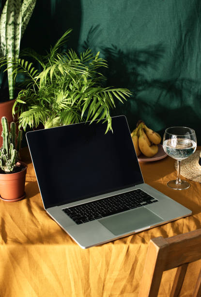 istock Working at home concept, laptop standing on a table with potted plants, front view of the screen 1304753617