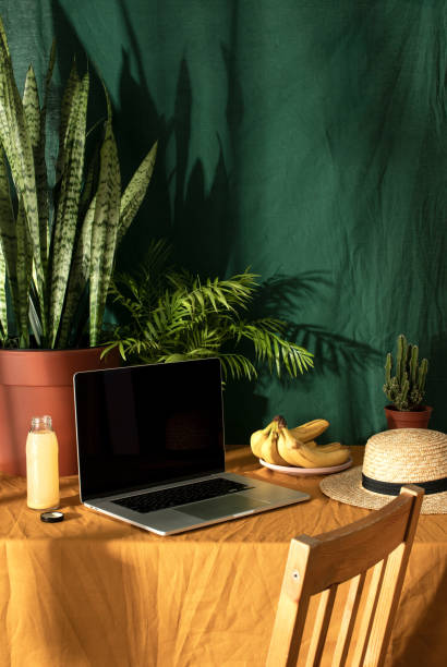 istock Working at home concept, laptop standing on a table with potted plants, front view of the screen 1304754265