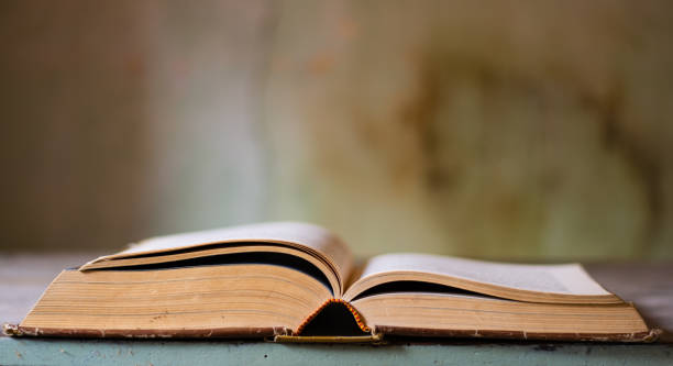 an open book consumed by time - old book stack open imagens e fotografias de stock