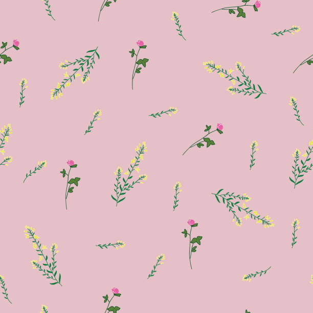 Wild flower clover and gorse seamless pattern Wild flower clover and gorse seamless repeating pattern with lemonade pink background. Vector illustration furze or gorse ulex europaeus stock illustrations