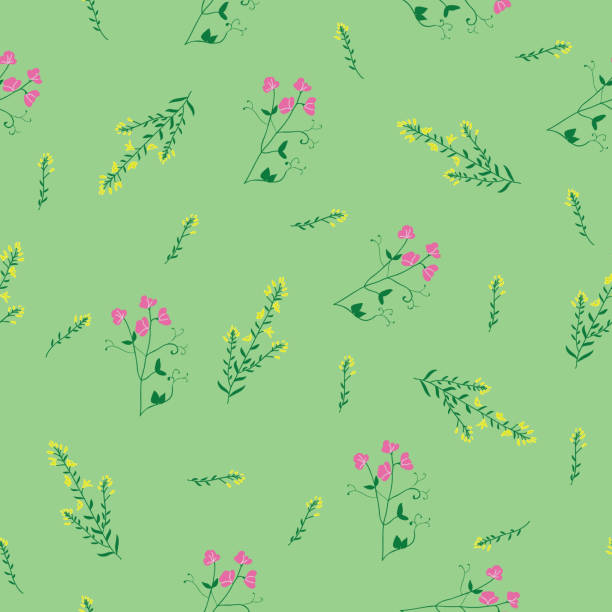 ilustraciones, imágenes clip art, dibujos animados e iconos de stock de flor silvestre dulce guisante y gorse patrón sin costuras - flower sweetpea pattern seamless